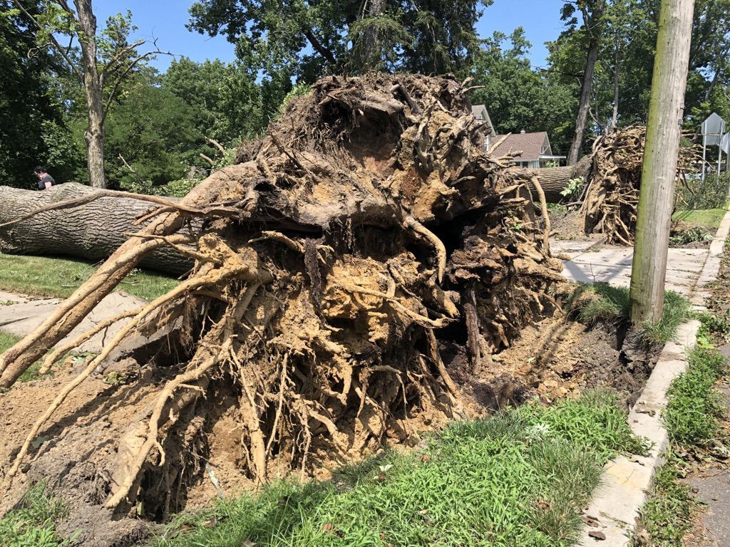 Tropical Storm Isaias aftermath in Hammonton